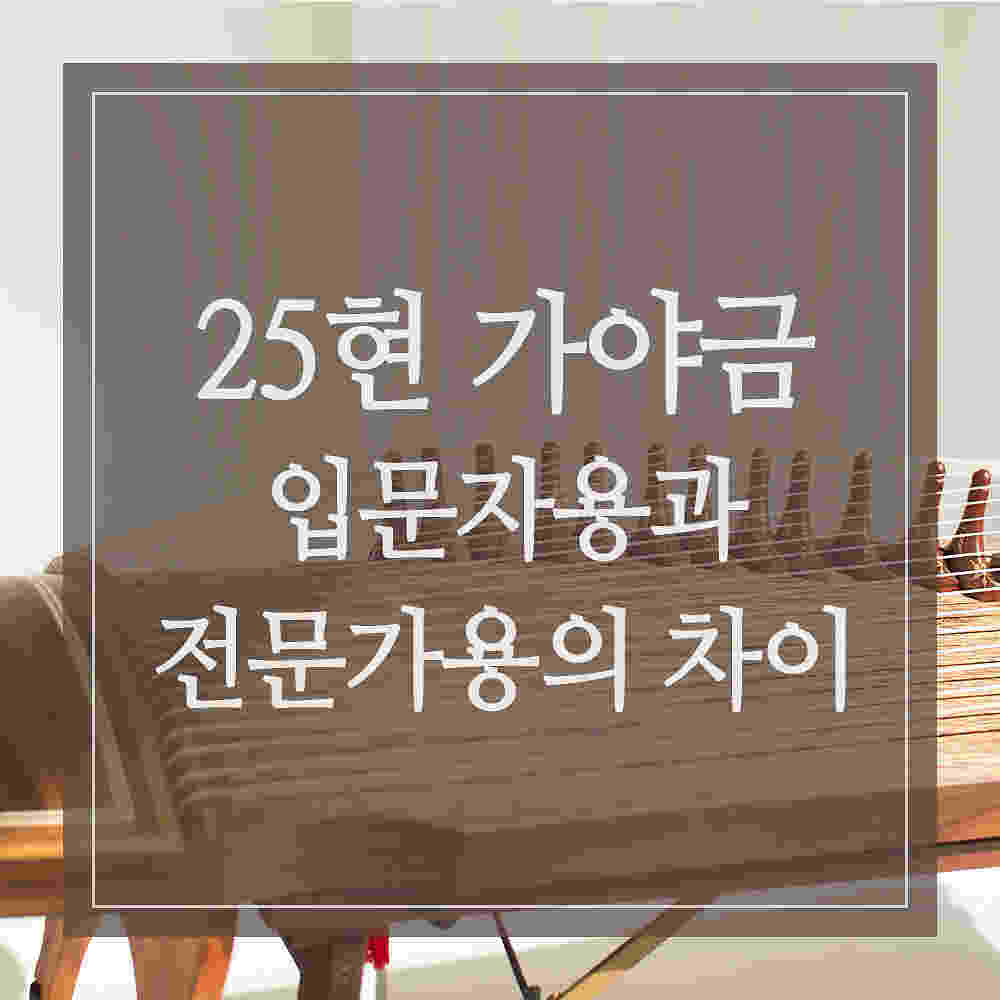 25현 가야금 구매: 입문자용과 전문가용의 차이