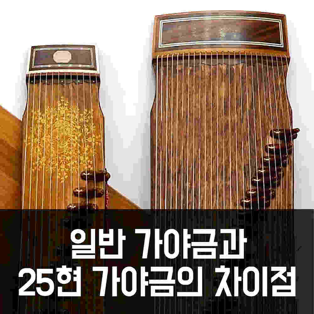 25현 가야금이란? : 산조(12현) 가야금과 25현 가야금의 차이점