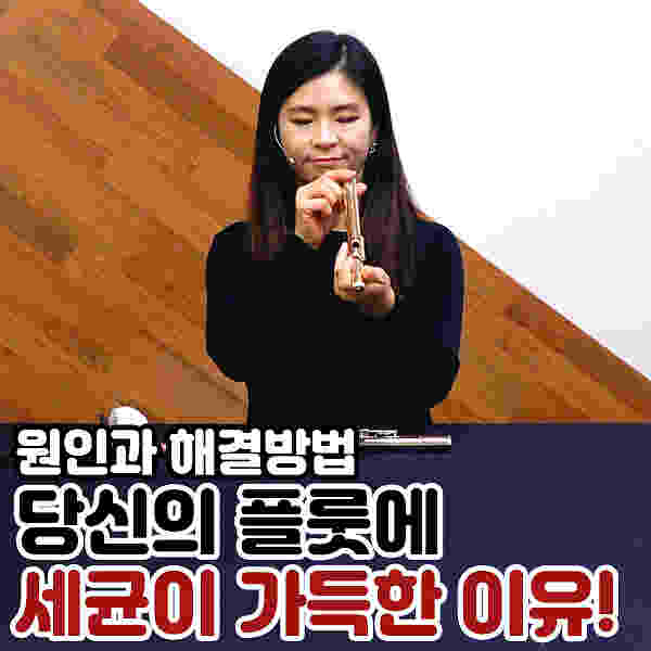 플룻 관리 : 당신의 플룻에 세균이 가득한 이유! 원인과 해결방법